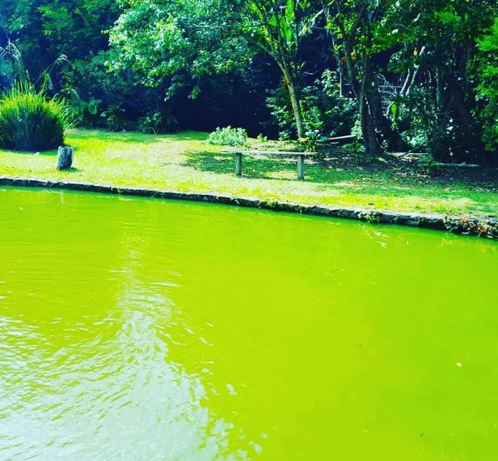 Chacara Sonho Meu Pinhalzinho (Amparo)