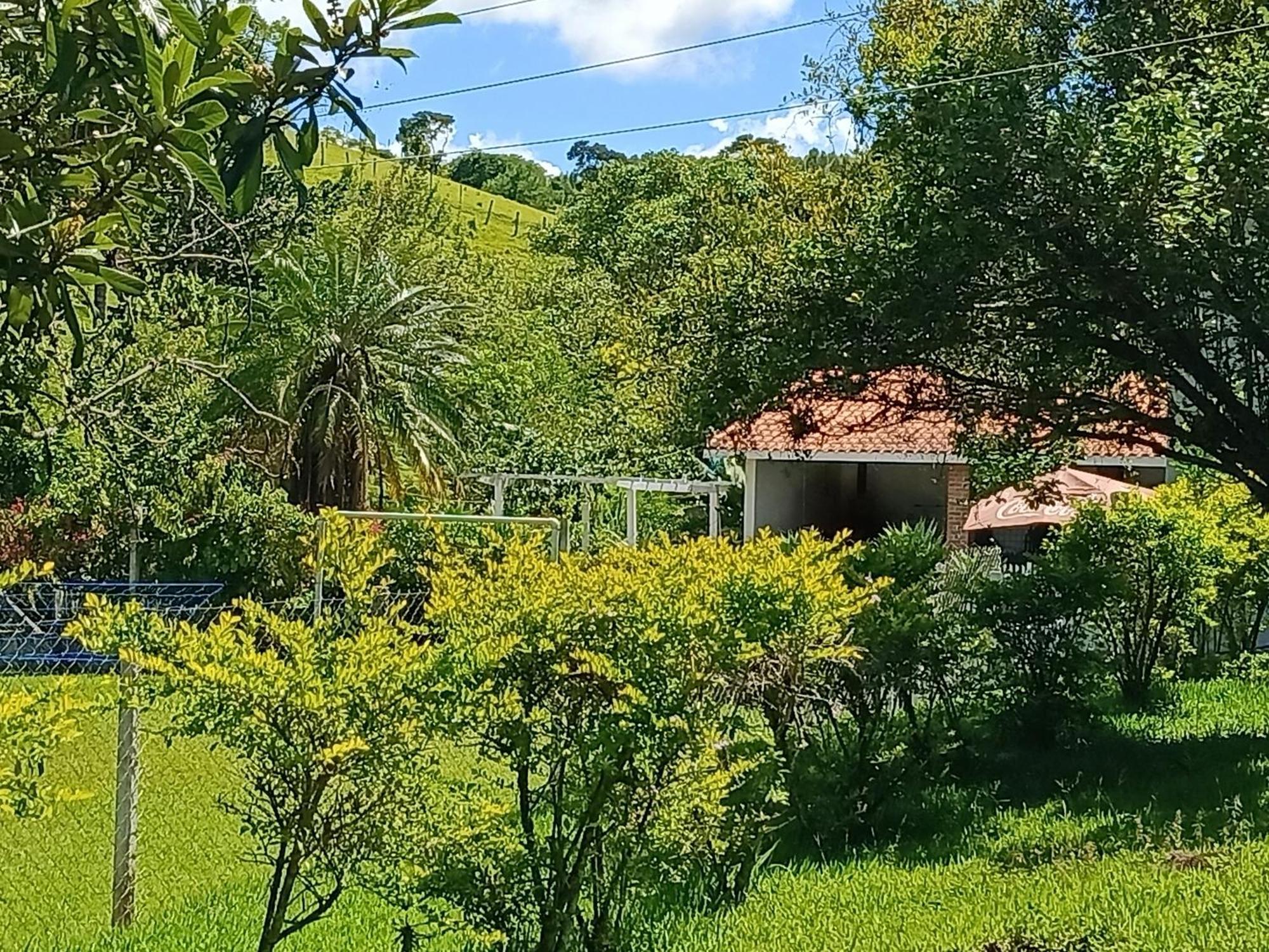 Chacara Sonho Meu Pinhalzinho (Amparo)